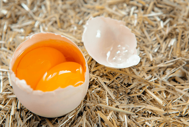ift sarılı Yumurta