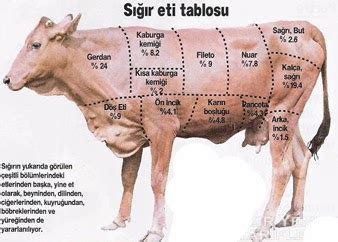 sığır eti teknolojisi
